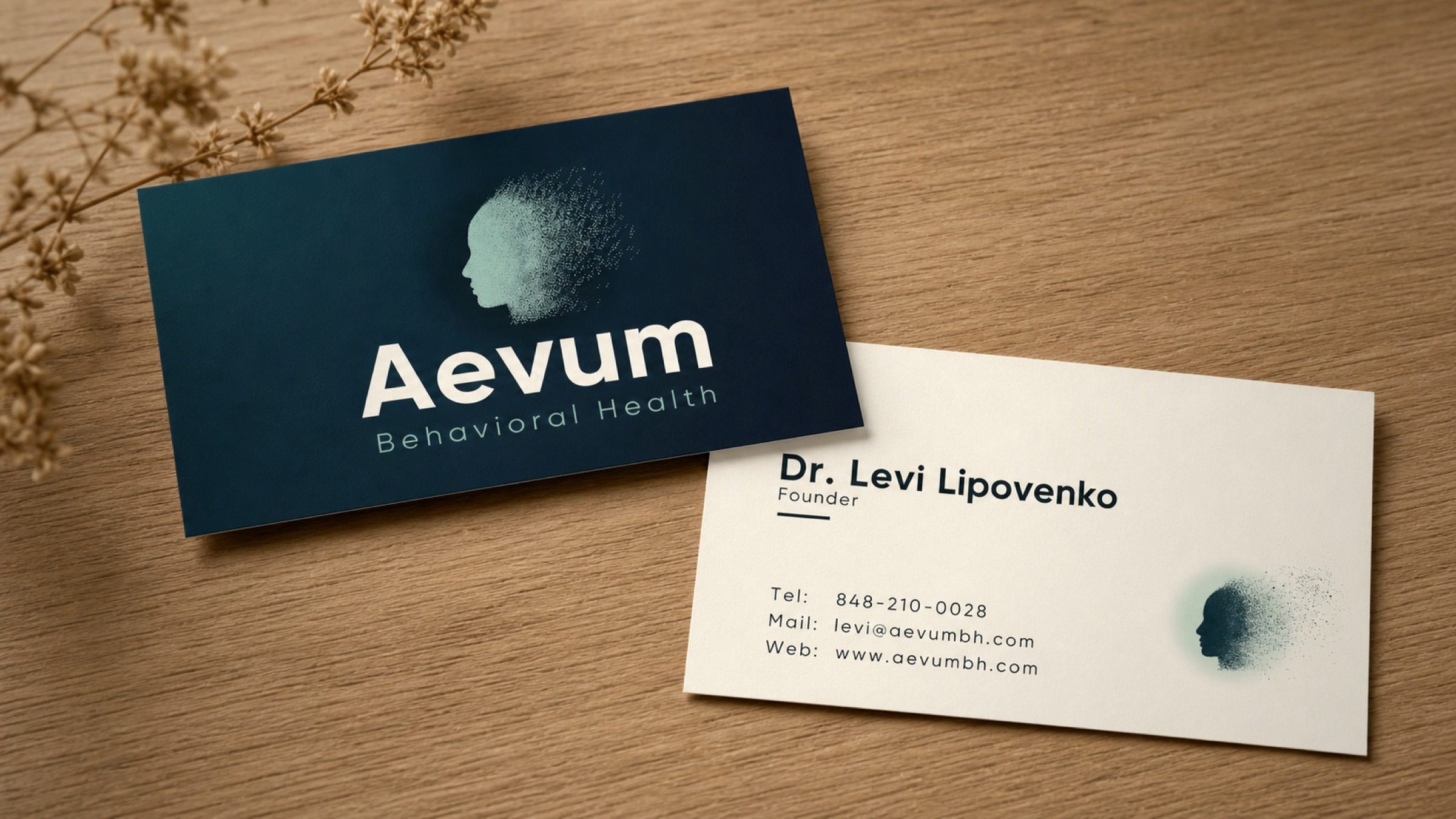 The back of the card: Dr. Levi Lipovenko, founder — the person behind the practice.